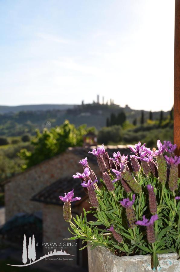 Il Paradisino San Gimignano'S Best Countryside Kültér fotó